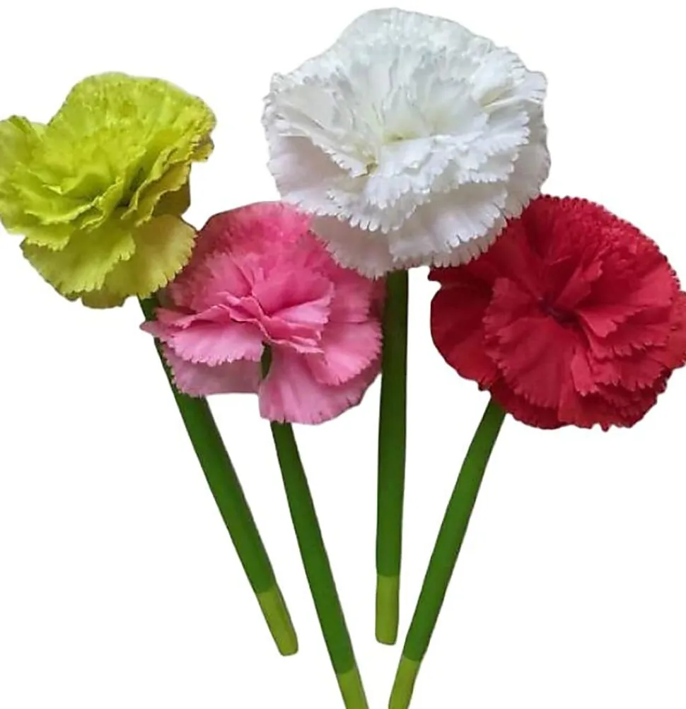 Saxon Imports Flower Gel Pen, Medium Point, 0.7 mm, Green Barrel, Black Ink