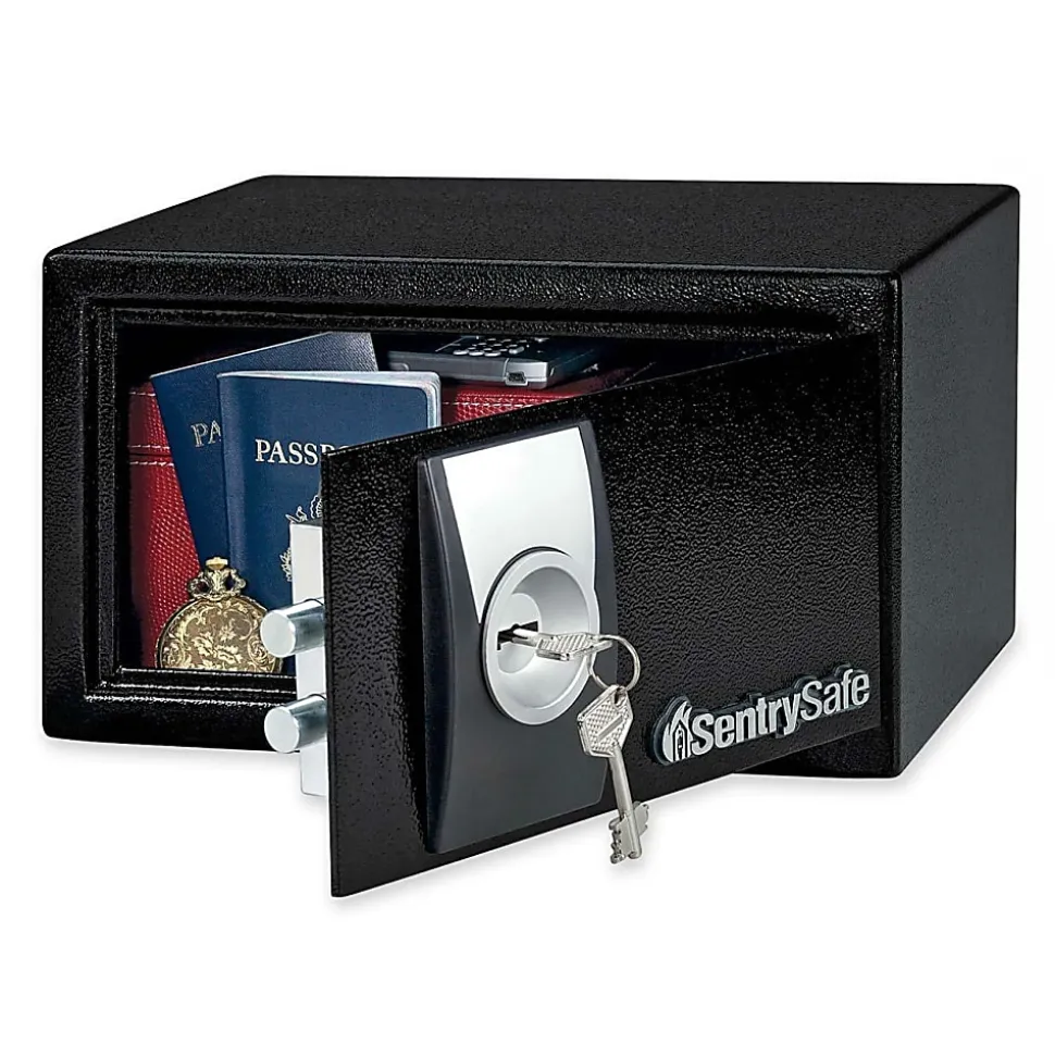 Sentry®Safe X031 Security Safe