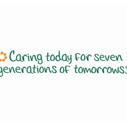 Seventh Generation® 2-Ply Toilet Paper, 100% Recycled, 300 Sheets Per Roll, Pack Of 24 Rolls