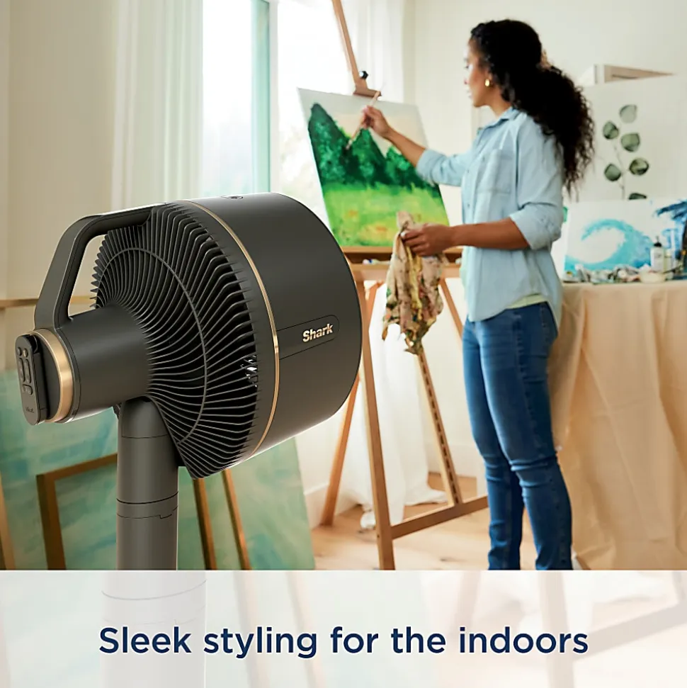 Shark FlexBreeze Indoor & Outdoor Fan, Dark Gray, Total Qty 1