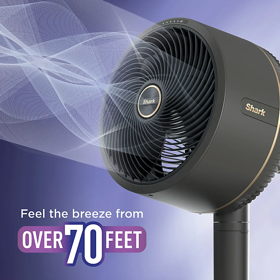 Shark FlexBreeze Indoor & Outdoor Fan, Dark Gray, Total Qty 1