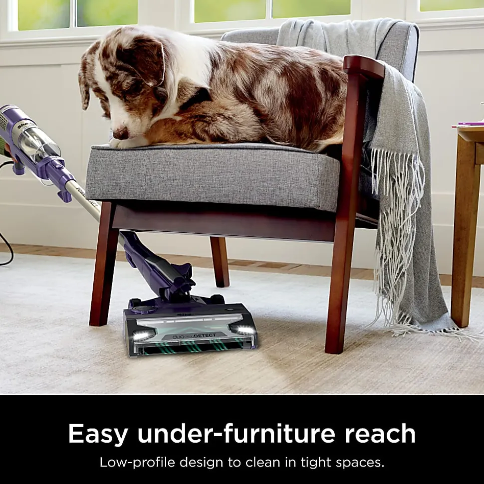 Shark POWERDETECT Corded Stick Vacuum, With DETECT Technology, Self-Cleaning Brushroll And Odor Neutralizer Technology, Eggplant, Total Quantity 1