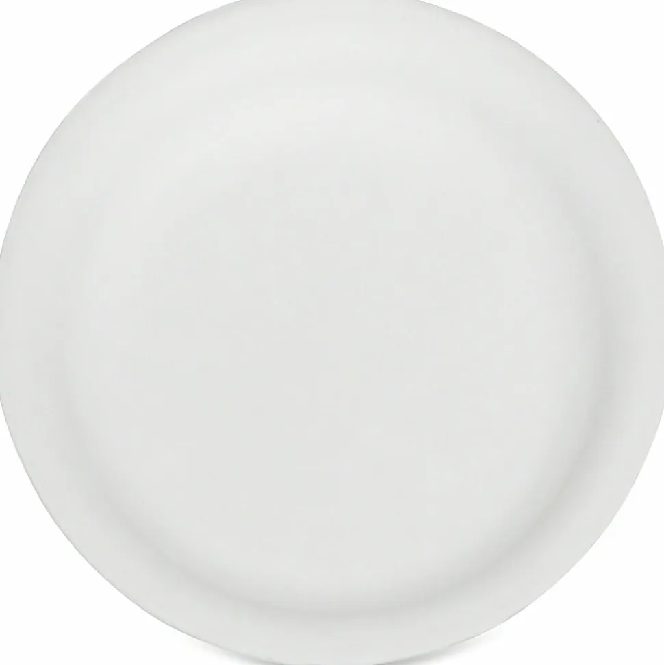 SKILCRAFT® Disposable Paper Plates, 9", White, Pack Of 500 (AbilityOne 7350-00-290-0594)