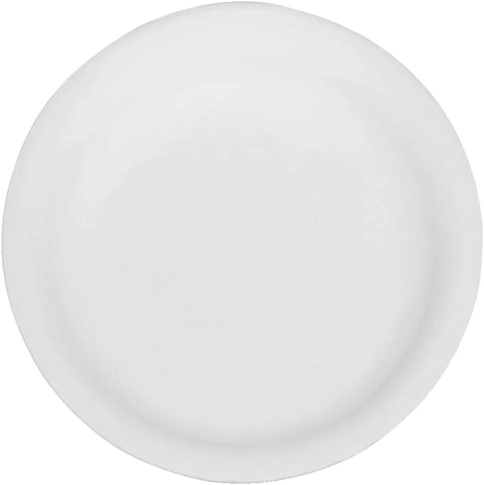 SKILCRAFT® Disposable Paper Plates, 9", White, Pack Of 500 (AbilityOne 7350-00-290-0594)