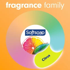 Softsoap Antibacterial Liquid Hand Soap Pump, 11.25 (332.7 mL) oz., Pack of 6, Crisp Clean Scent - 03562CT