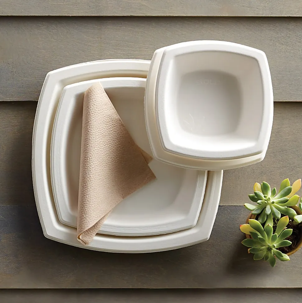 Solo Cup Bare™ Sugar Cane Plates, 10", Ivory, Pack Of 125