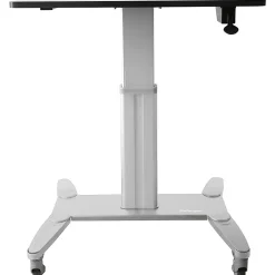 StarTech.com 28"W Mobile Sit-Stand Workstation, Silver