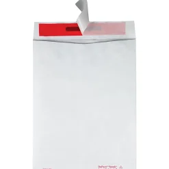 Survivor® Tyvek® Tamper-Indicator Envelopes, 10