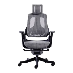 Techni Mobili Ergonomic Mesh High-Back Executive Office Chair, Gray, RTA1818CGRY