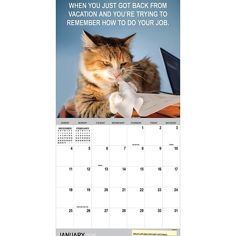 2026 TF Publishing Humor Monthly Wall Calendar, 12” x 12”, Corporate Cats, January To December