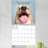 2026 TF Publishing Humor Monthly Wall Calendar, 12” x 12”, Desk Dogs, January To December