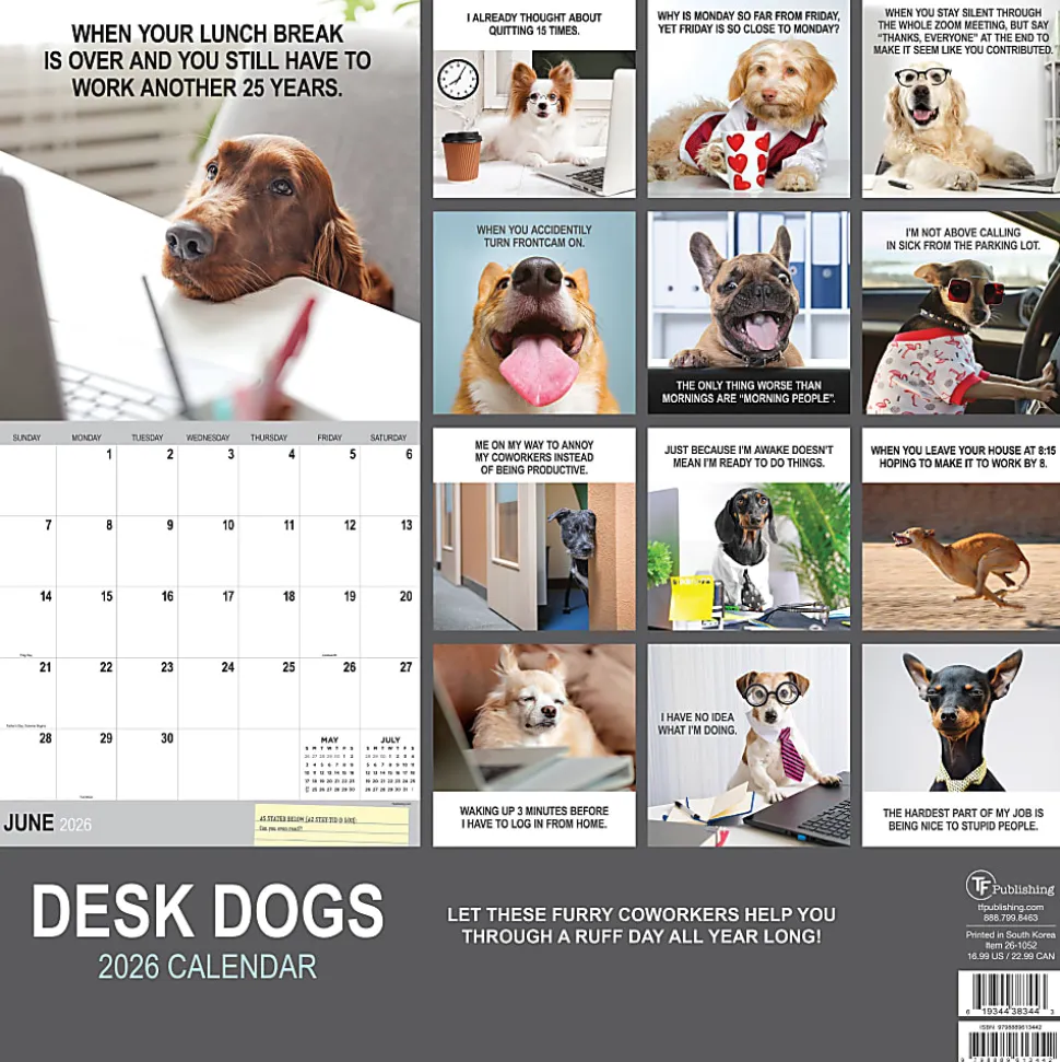 2026 TF Publishing Humor Monthly Wall Calendar, 12” x 12”, Desk Dogs, January To December