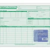 TOPS® Employee Record File Folders, 11 3/4" x 9 1/2", Green, Pack Of 20