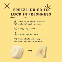 Tru Fru Hyper-Dried Grab & Go Dried Bananas In Dark Chocolate, 1.7 Oz, Total Qty 12