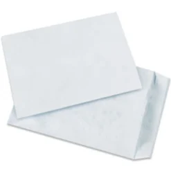 Tyvek® Envelopes, 13" x 19", End Opening, Plain White, Pack Of 100