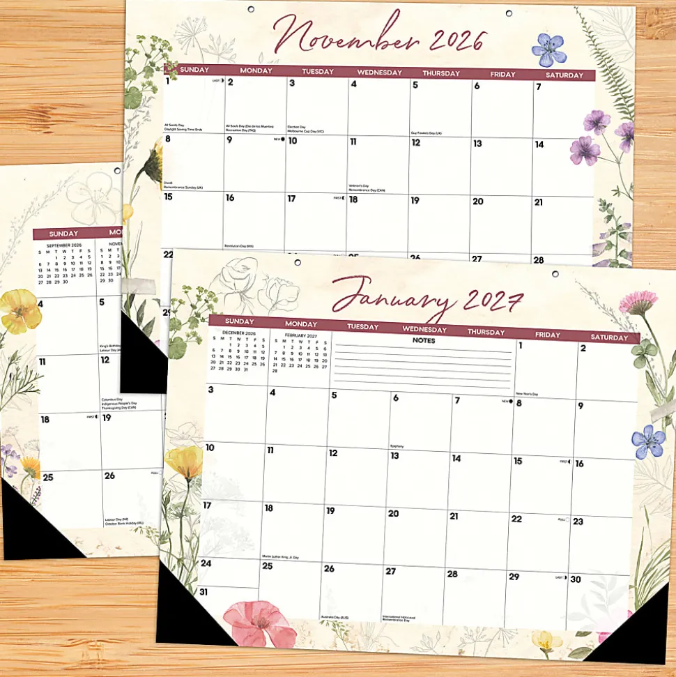 2026-2027 Willow Creek Press Academic Monthly Desk Pad Calendar, 17" x 22", Botanical Garden, July To June, Total Qty 1