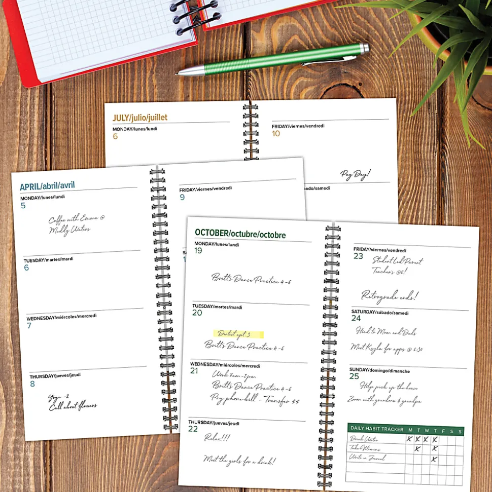 Willow Creek Press Academic Weekly/Monthly Spiral Planner, 3-1/2" x 6-1/2", Graphite Grid, July 2026 - June 2027, Total Qty 1
