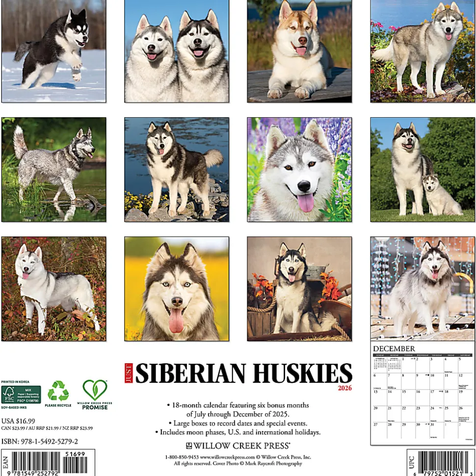 2026 Willow Creek Press Animals Monthly Wall Calendar, 12" x 12", Siberian Huskies, January To December, 52792
