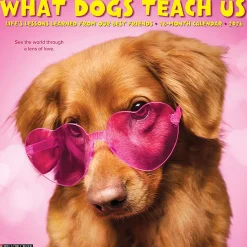 2026 Willow Creek Press Animals Monthly Wall Calendar, 12