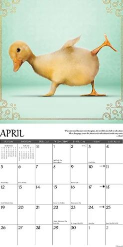 2026 Willow Creek Press Animals Monthly Wall Calendar, 12" x 12", Farm Yoga, January To December, 51092