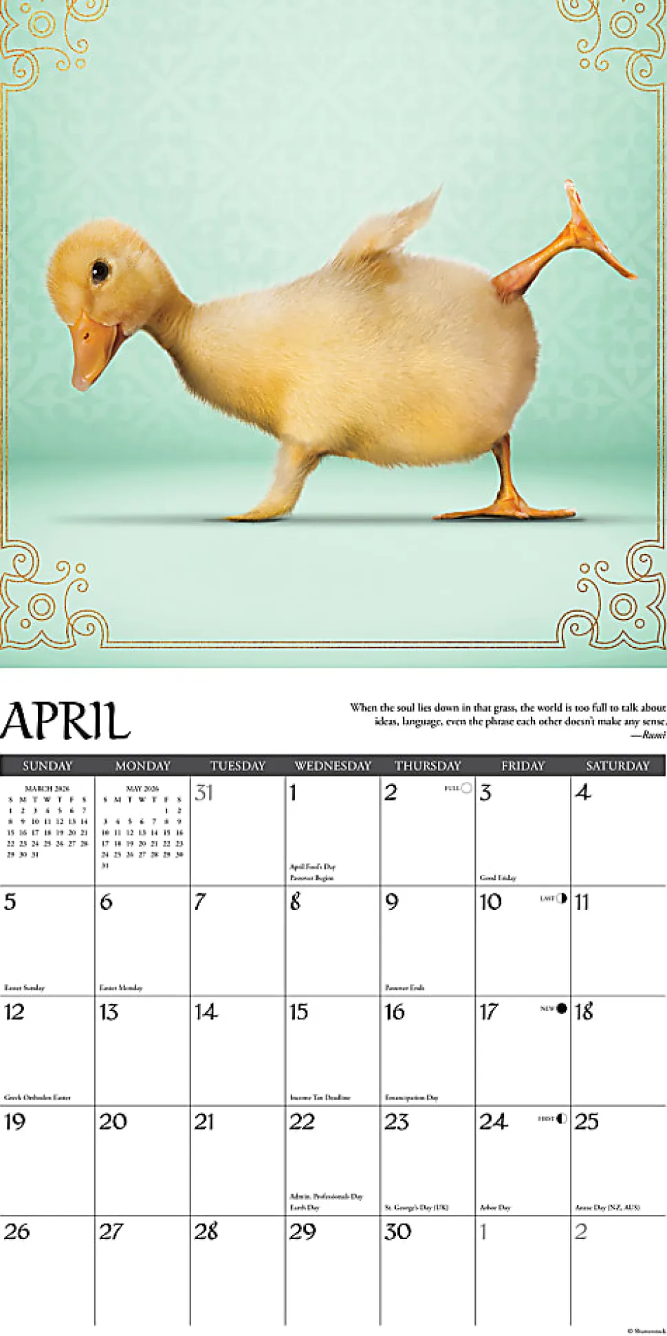 2026 Willow Creek Press Animals Monthly Wall Calendar, 12" x 12", Farm Yoga, January To December, 51092