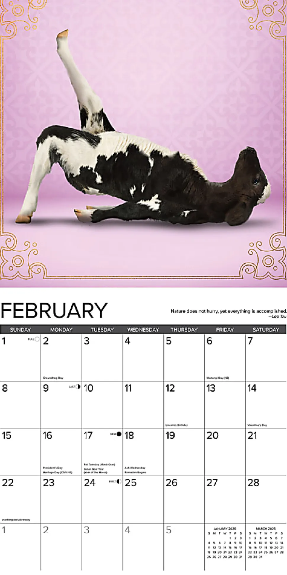 2026 Willow Creek Press Animals Monthly Wall Calendar, 12" x 12", Cow Yoga, January To December, 50873
