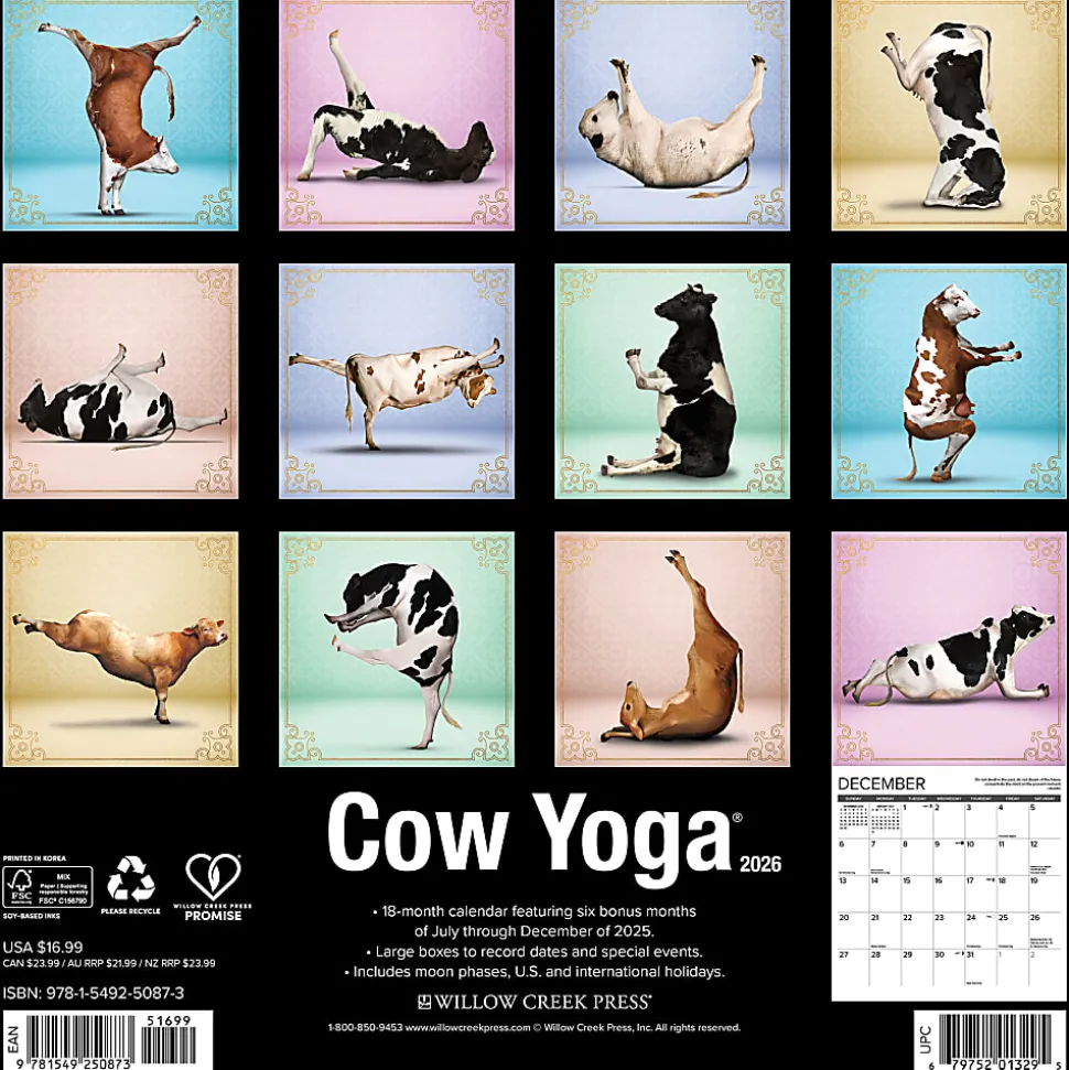 2026 Willow Creek Press Animals Monthly Wall Calendar, 12" x 12", Cow Yoga, January To December, 50873