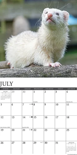 2026 Willow Creek Press Animals Monthly Wall Calendar, 12