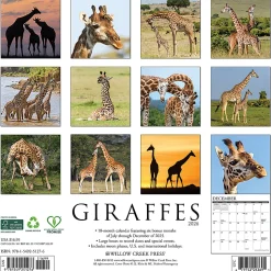 2026 Willow Creek Press Animals Monthly Wall Calendar, 12