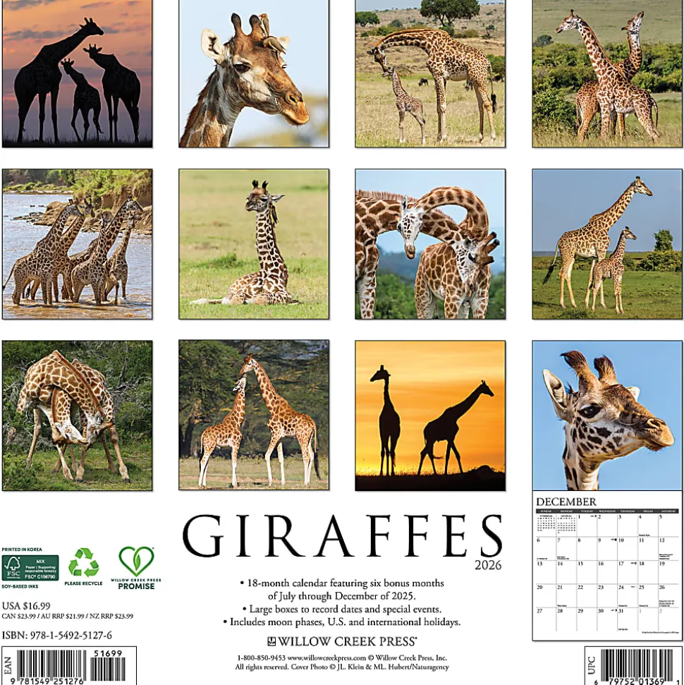 2026 Willow Creek Press Animals Monthly Wall Calendar, 12" x 12", Giraffes, January To December, 51276