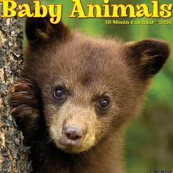 2026 Willow Creek Press Animals Monthly Wall Calendar, 12" x 12", Baby Animals, January To December, 50002