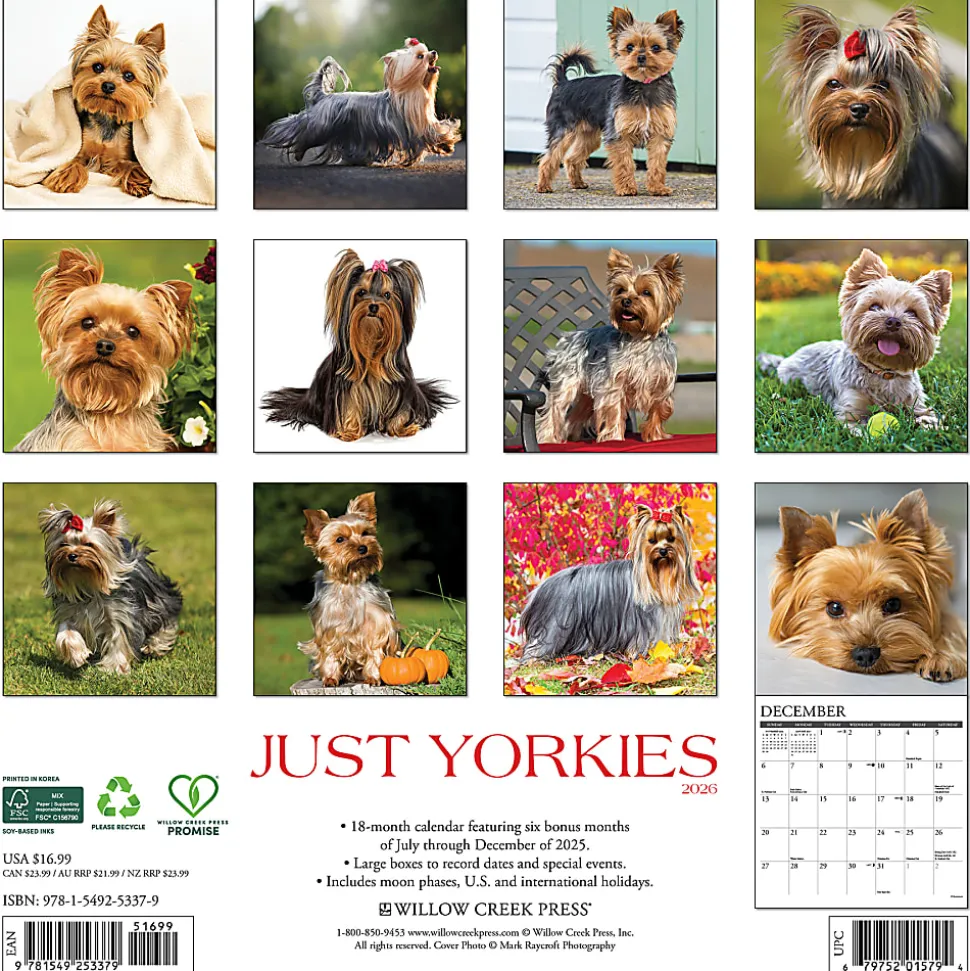 2026 Willow Creek Press Animals Monthly Wall Calendar, 12" x 12", Unicorns by Sara Burrier, January To December, 53065