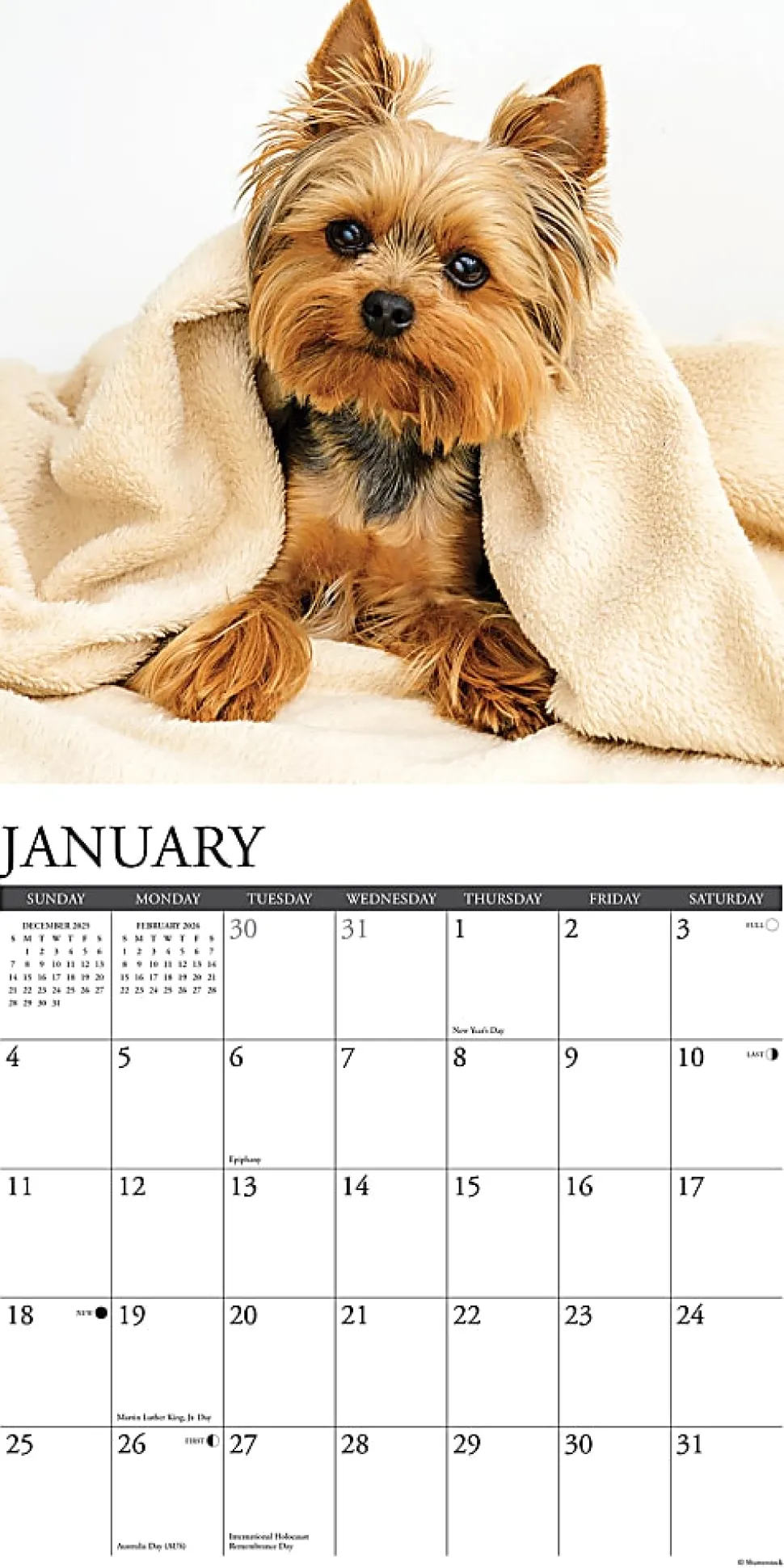 2026 Willow Creek Press Animals Monthly Wall Calendar, 12" x 12", Unicorns by Sara Burrier, January To December, 53065
