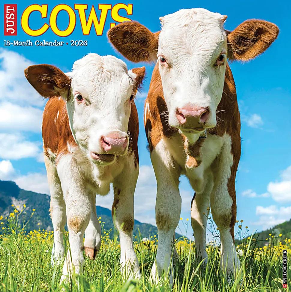 2026 Willow Creek Press Animals Monthly Wall Calendar, 12" x 12", Cows, January To December, 50903