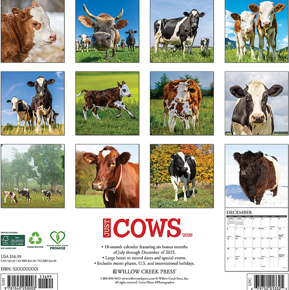 2026 Willow Creek Press Animals Monthly Wall Calendar, 12" x 12", Cows, January To December, 50903