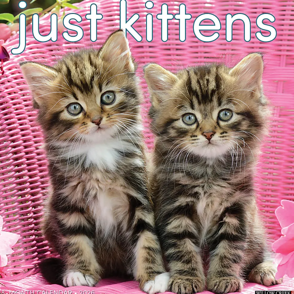 2026 Willow Creek Press Animals Monthly Wall Calendar, 12" x 12", Kittens, January To December, 51696