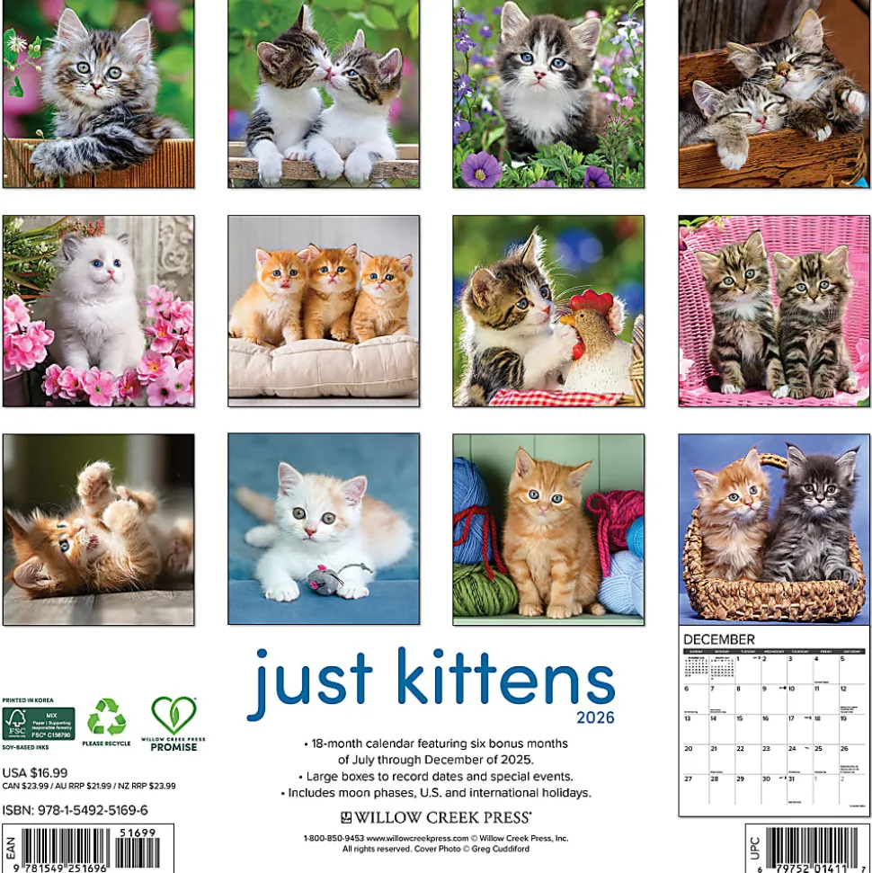 2026 Willow Creek Press Animals Monthly Wall Calendar, 12" x 12", Kittens, January To December, 51696
