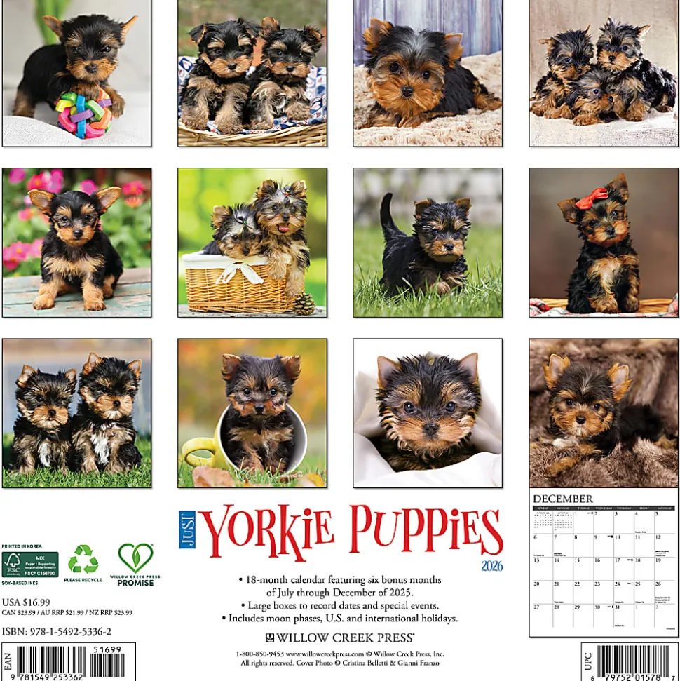2026 Willow Creek Press Animals Monthly Wall Calendar, 12" x 12", Yorkie Puppies, January To December, 53362