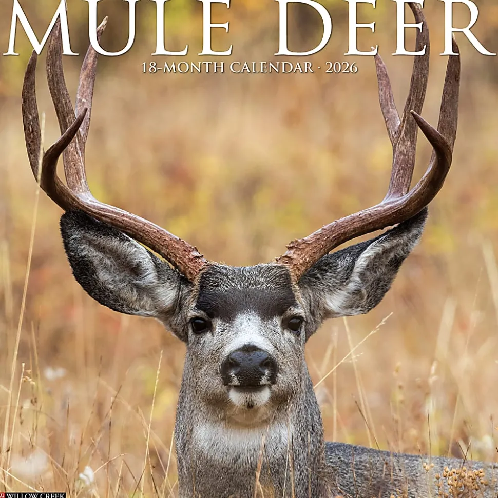 2026 Willow Creek Press Animals Monthly Wall Calendar, 12" x 12", Mule Deer, January To December, 52051