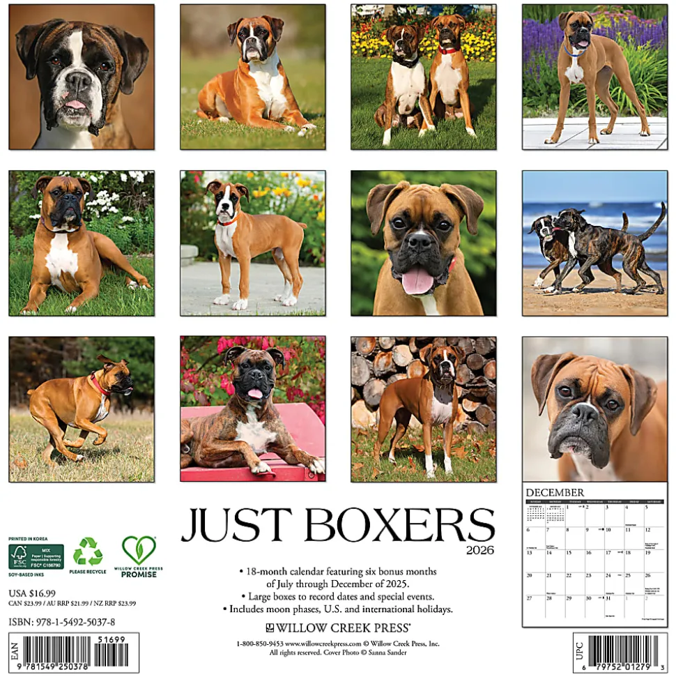 2026 Willow Creek Press Animals Monthly Wall Calendar, 12" x 12", Boxers, January To December, 50378
