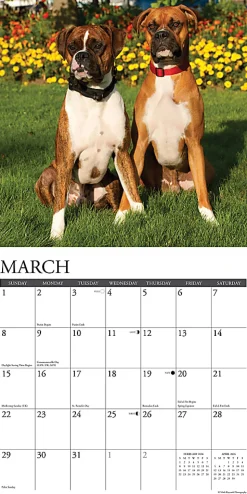 2026 Willow Creek Press Animals Monthly Wall Calendar, 12