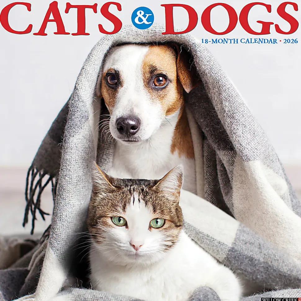 2026 Willow Creek Press Animals Monthly Wall Calendar, 12" x 12", Cats & Dogs, January To December, 50620