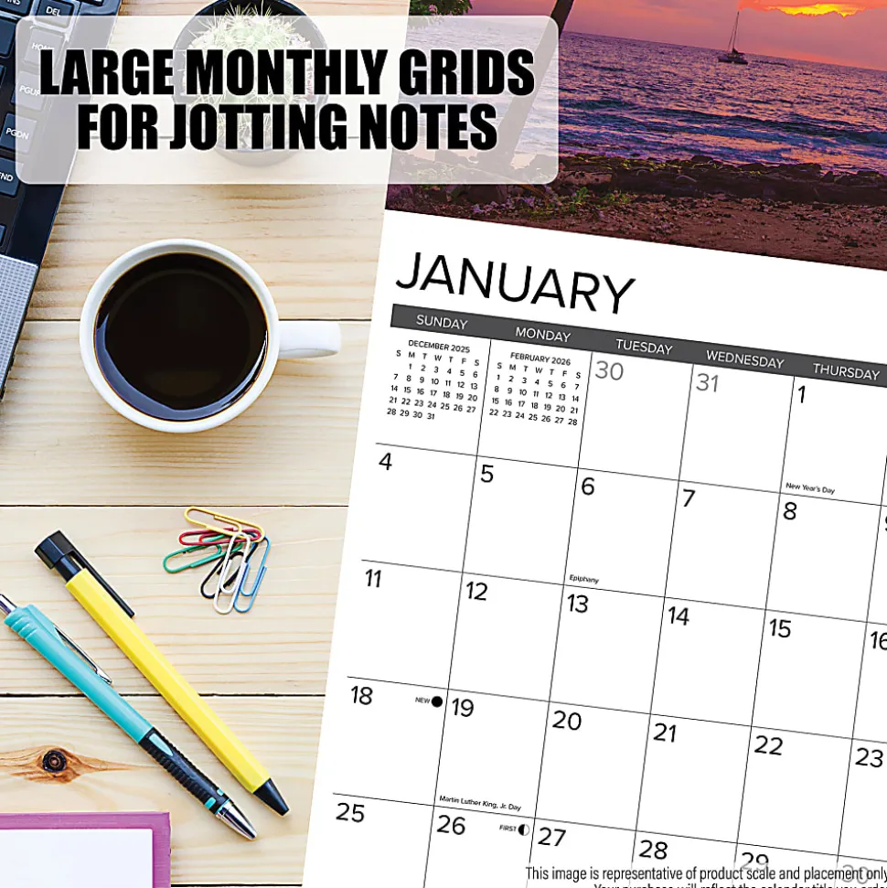 2026 Willow Creek Press Animals Monthly Wall Calendar, 12" x 12", Cats & Dogs, January To December, 50620