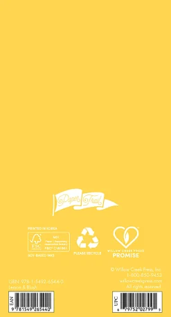Willow Creek Press Checkbook 2-Year Monthly Academic Pocket Planner, 3-1/2" x 6-1/2", Lemon & Blush, July 2026 to June 2028, Total Quantity 1