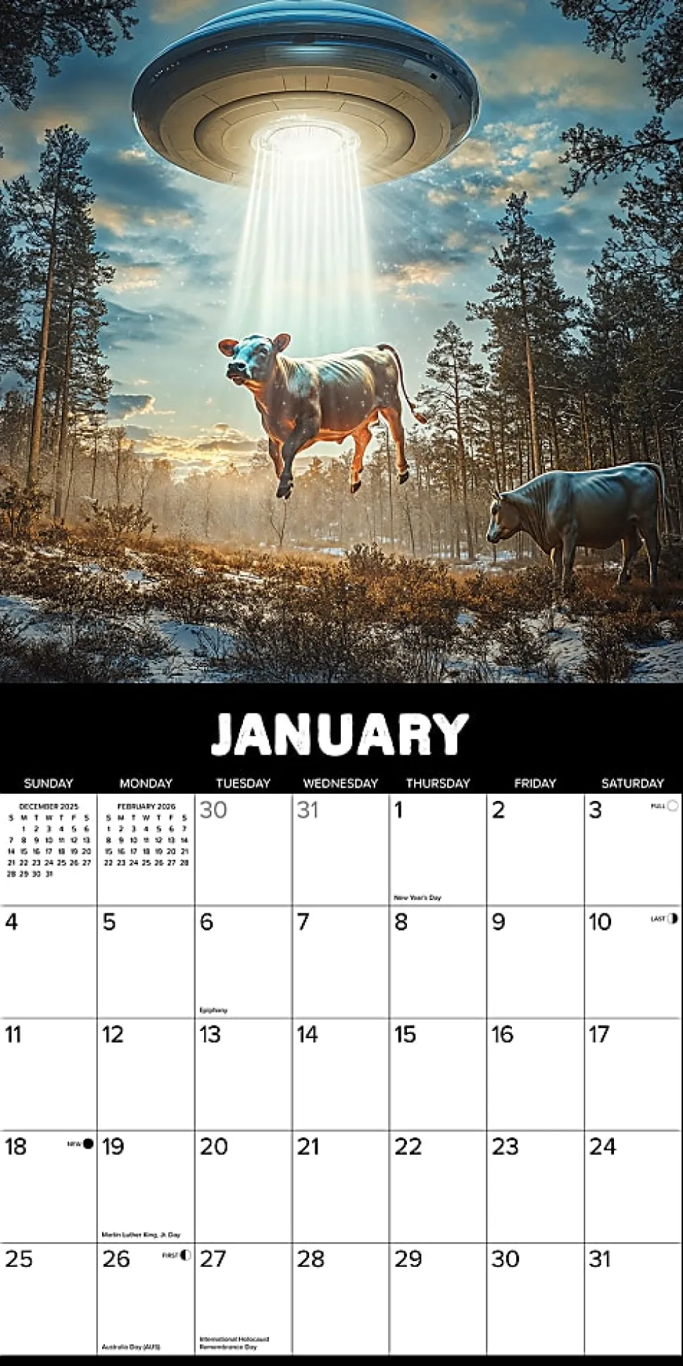 2026 Willow Creek Press Humor & Comics Monthly Wall Calendar, 12" x 12", Cow Abductions, January To December, 50866