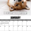 2026 Willow Creek Press Humor & Comics Monthly Wall Calendar, 12" x 12", Dog-Gone-It, January To December, 50996