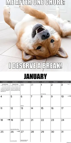 2026 Willow Creek Press Humor & Comics Monthly Wall Calendar, 12" x 12", Dog-Gone-It, January To December, 50996