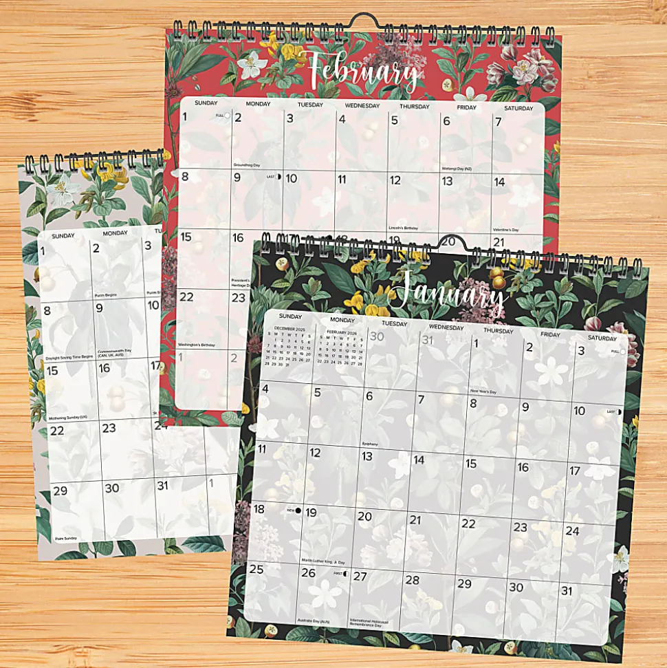 2026-2027 Willow Creek Press Monthly Spiral Wall Calendar, 12" x 12", Botanical Nature, July 2026 To June 2027, 54727