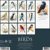 2026 Willow Creek Press Monthly Wall Calendar, 12" x 12", The Art of Birds, January To December, 56332
