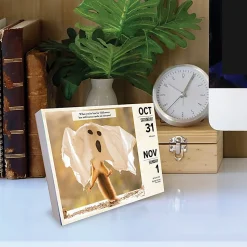 2026 Willow Creek Press Page-A-Day Daily Desk Calendar, 6-1/4" x 5-1/2", 365 Days of History, January To December, 53867